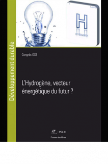 L'hydrogène :  un vecteur pour la transition énergetique Gilles Guerassimoff et Lise Adegnon
